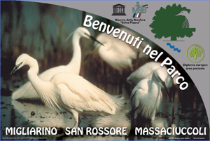 Parco di Migliarino Massaciuccoli San Rossore 48